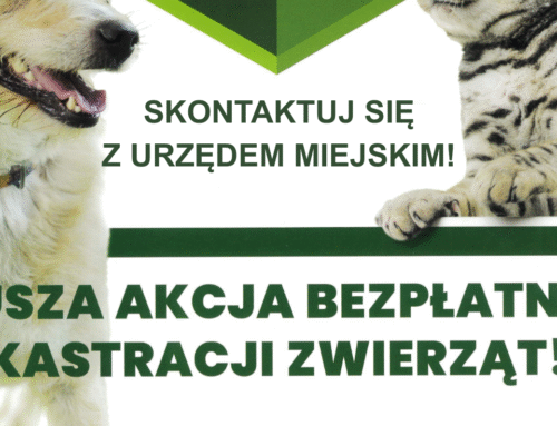 Akcja bezpłatnej kastracji zwierząt!
