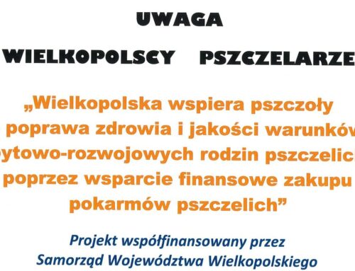 Wielkopolska wspiera pszczoły
